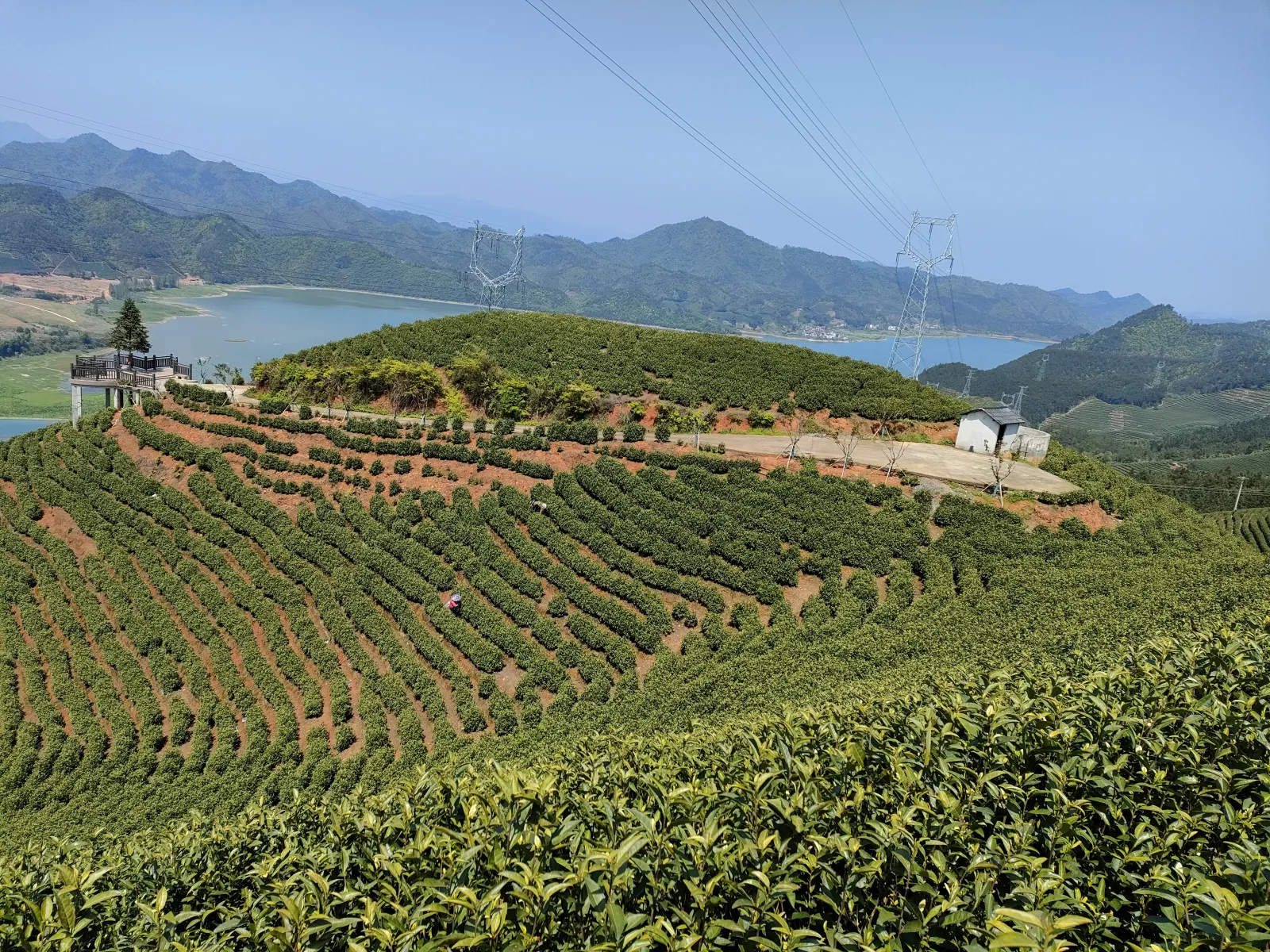 茶山湖色